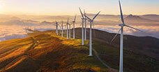 Energías Renovables y Sostenibilidad Ambiental